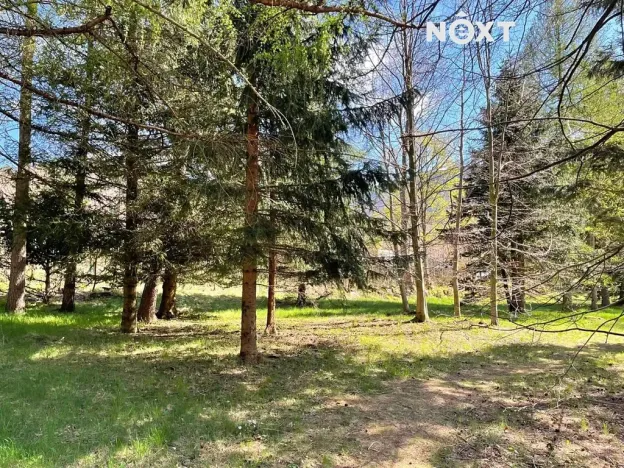 Prodej pozemku pro bydlení, Bílý Potok, 813 m2