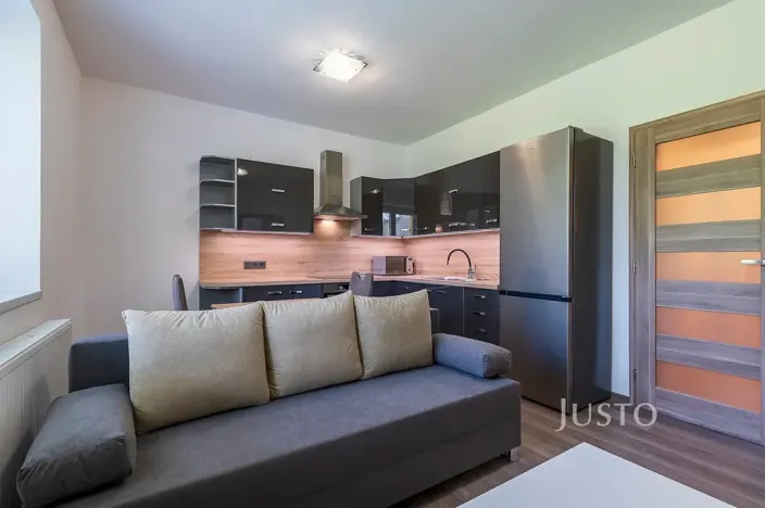 Pronájem bytu 2+kk, Staré Město, Mahenova, 45 m2