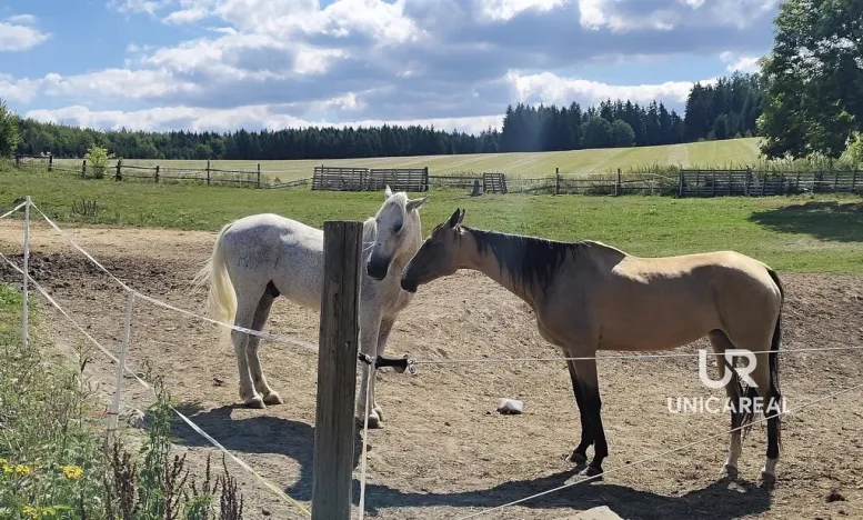 Prodej rodinného domu, Kamenná Horka, 273 m2