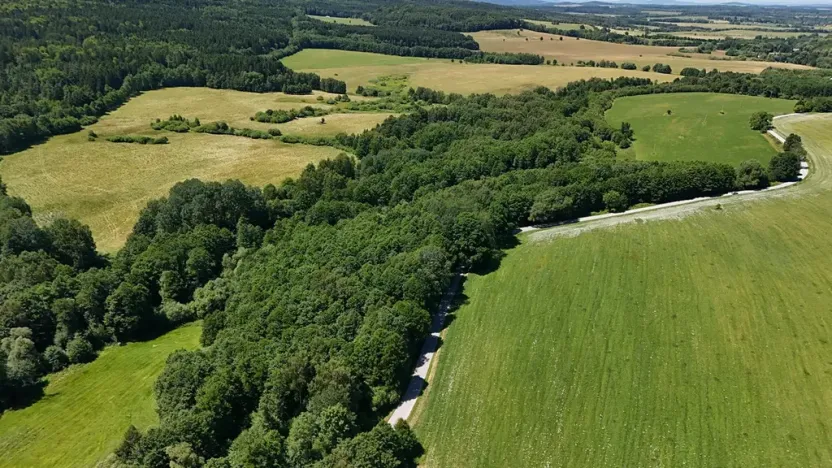Prodej lesa, Horní Stropnice, 35281 m2