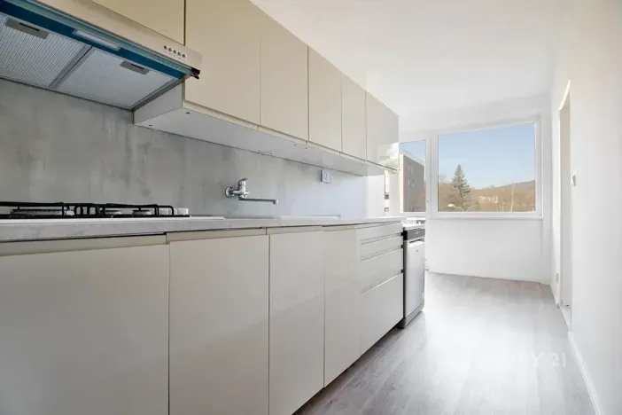 Pronájem bytu 3+1, Děčín, Slezská, 89 m2