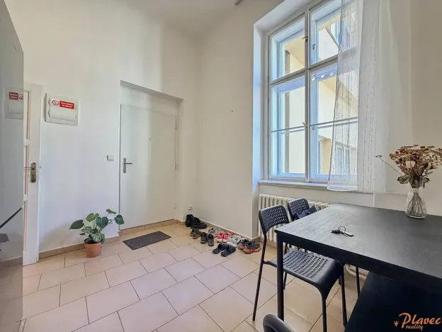 Pronájem bytu 1+1, Praha - Staré Město, Národní, 43 m2