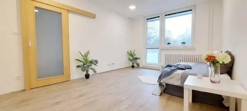 Pronájem bytu 1+1, Brno, Fričova, 46 m2