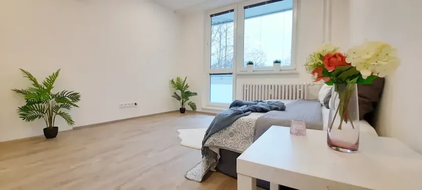 Pronájem bytu 1+1, Brno, Fričova, 46 m2