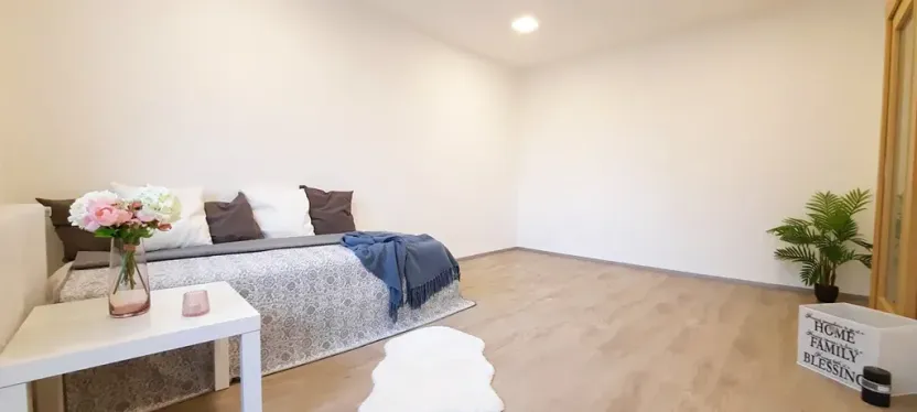 Pronájem bytu 1+1, Brno, Fričova, 46 m2