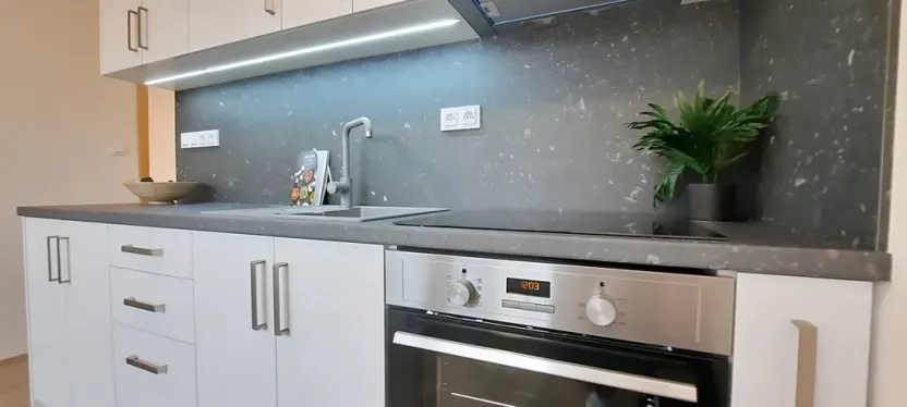 Pronájem bytu 1+1, Brno, Fričova, 46 m2