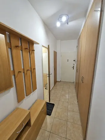 Pronájem bytu 2+1, Brno, Nové sady, 55 m2