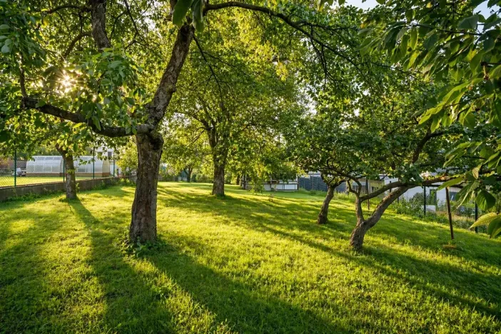 Prodej rodinného domu, Nové Bránice, 177 m2