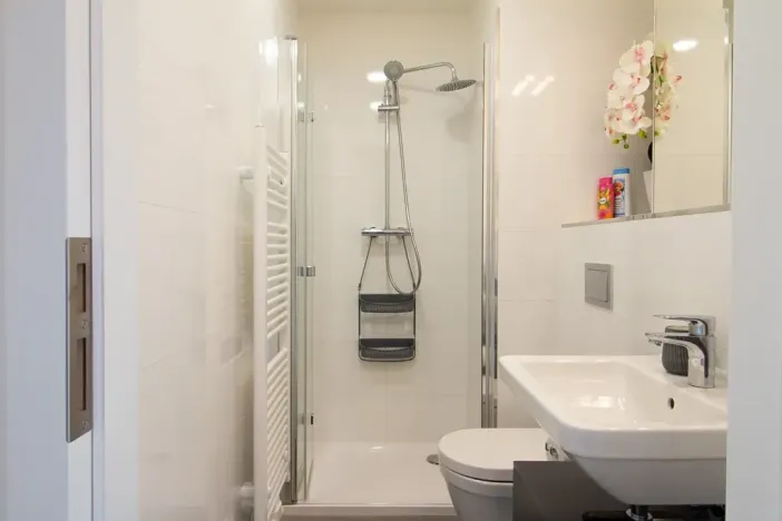 Pronájem bytu 1+kk, Praha - Vinohrady, Perucká, 25 m2