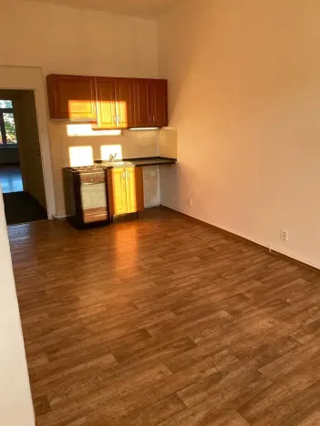 Pronájem bytu 2+kk, Praha - Vysočany, Freyova, 49 m2