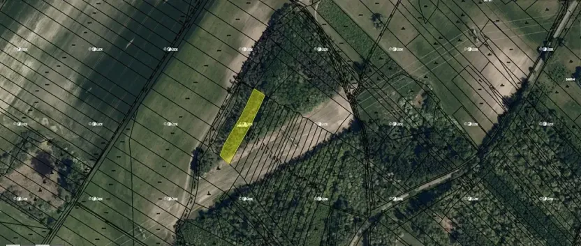 Prodej lesa, Dubňany, 5378 m2