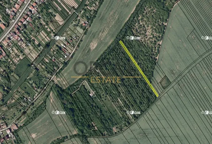 Prodej louky, Březolupy, 1729 m2