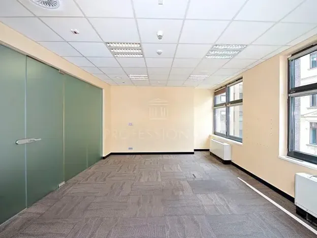 Pronájem kanceláře, Praha - Nové Město, Vladislavova, 977 m2