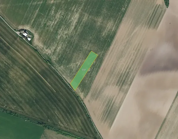 Prodej pole, Bezděkov, 7636 m2