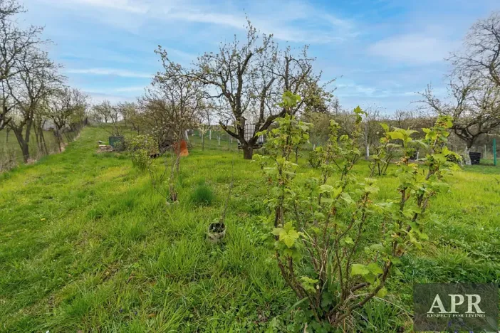 Prodej rodinného domu, Boršice u Blatnice, 105 m2