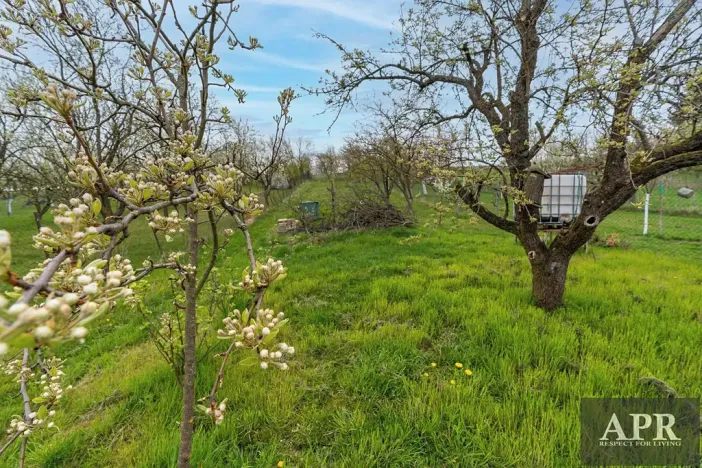 Prodej rodinného domu, Boršice u Blatnice, 105 m2