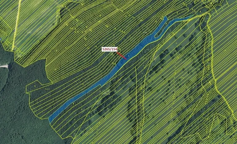 Dražba lesa, Strání, 16804 m2