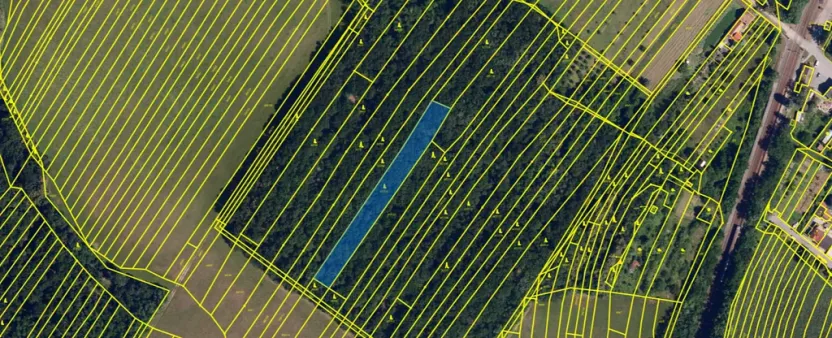 Prodej lesa, Silůvky, 2829 m2