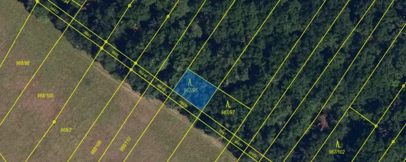 Prodej lesa, Silůvky, 174 m2