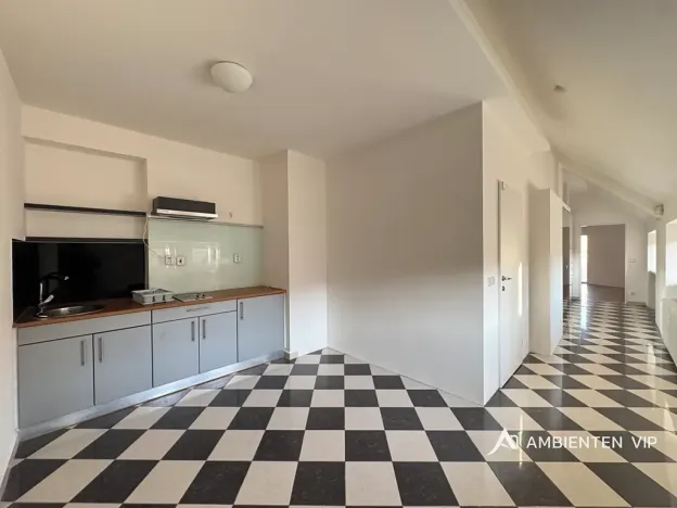 Prodej bytu 1+1, Brno, Čápkova, 54 m2