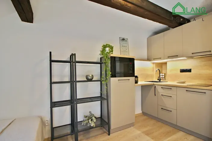 Pronájem bytu 1+kk, Brno, Francouzská, 32 m2