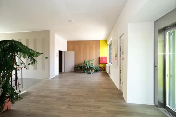 Pronájem ordinace, Hradec Králové, Pospíšilova, 49 m2