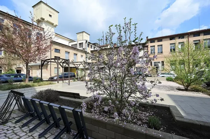 Pronájem ordinace, Hradec Králové, Pospíšilova, 49 m2