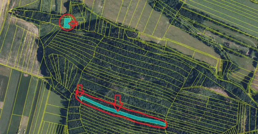Prodej lesa, Rájec, 5476 m2