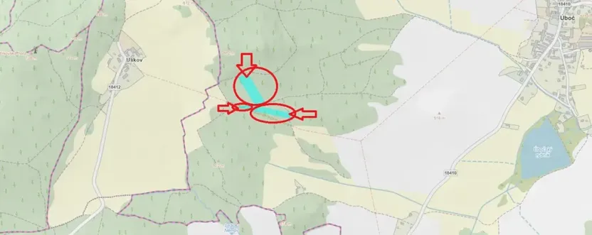 Prodej lesa, Úboč, 13538 m2