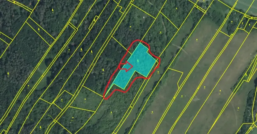 Prodej lesa, Chotiněves, 3854 m2