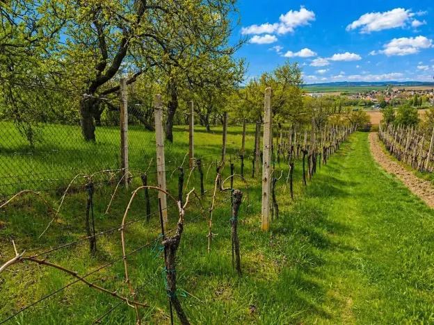 Prodej rodinného domu, Židlochovice, Masarykova, 250 m2