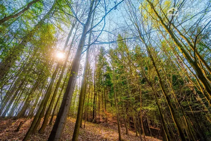 Prodej pozemku pro bydlení, Hošťálková, 1611 m2