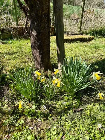 Prodej chaty, Jistebnice, 50 m2