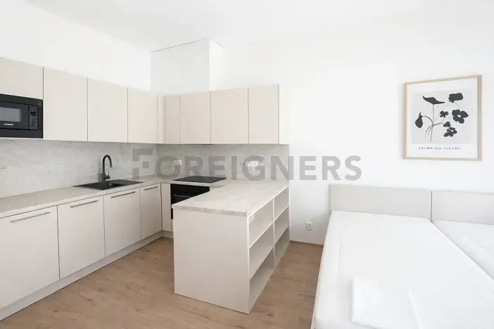 Pronájem bytu 1+kk, Brno, Spolková, 38 m2