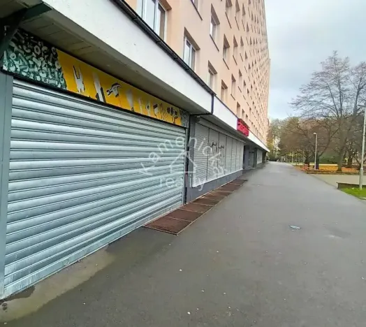 Pronájem obchodního prostoru, České Budějovice, Pražská tř., 137 m2