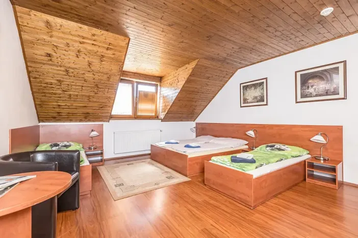 Prodej ubytování, Horní Stropnice, 700 m2