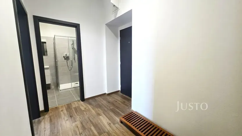 Pronájem bytu 1+kk, Písek, Vladislavova, 40 m2