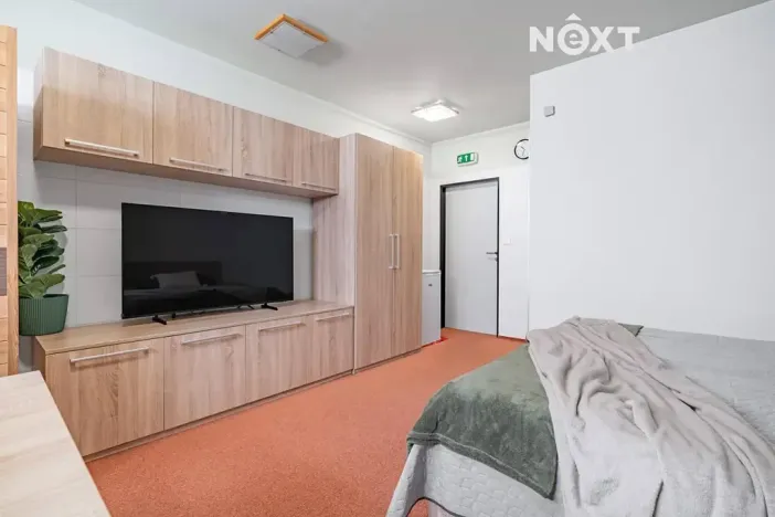 Prodej bytu 1+1, Brno, Karla Kryla, 31 m2