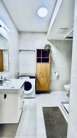 Pronájem bytu 1+kk, Praha - Vysočany, Gerstelova, 41 m2