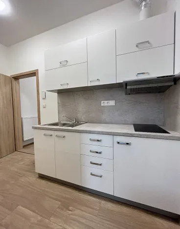 Pronájem bytu 1+1, Brno, Cihlářská, 34 m2