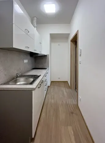 Pronájem bytu 1+1, Brno, Cihlářská, 34 m2