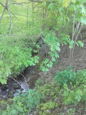 Prodej pozemku pro bydlení, Meziměstí, 2212 m2