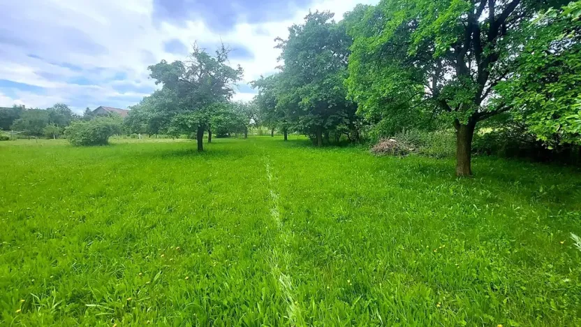 Prodej pozemku pro bydlení, Pecka, 1250 m2