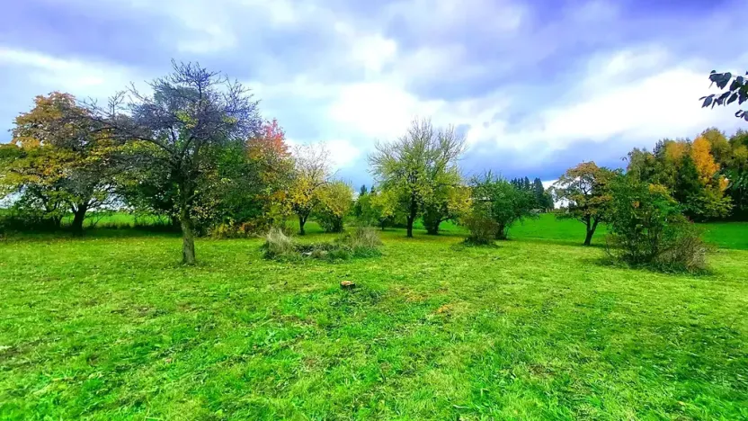 Prodej pozemku pro bydlení, Pecka, 1250 m2