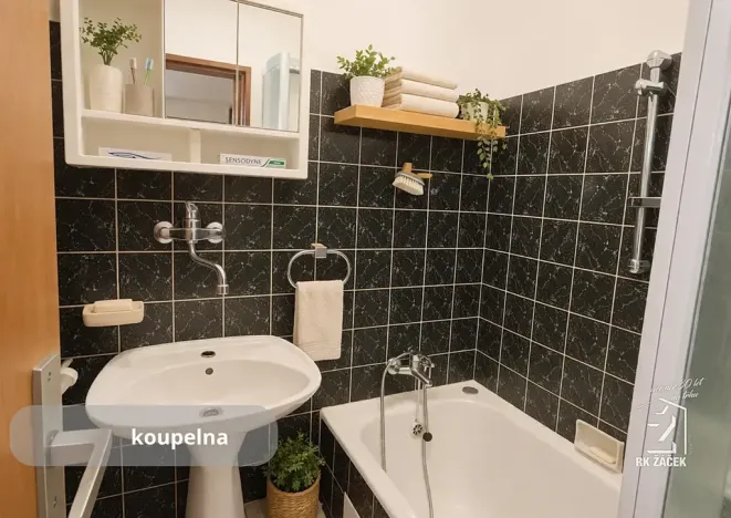 Prodej rodinného domu, České Budějovice, Zeyerova, 197 m2