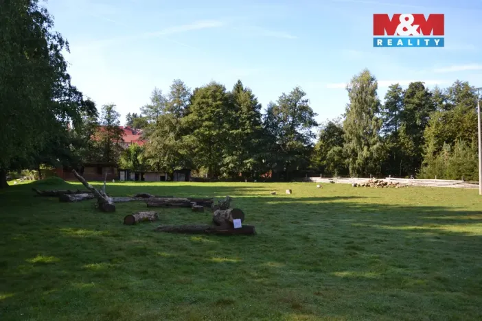 Prodej výrobních prostor, Miletín, Lhotova, 22000 m2