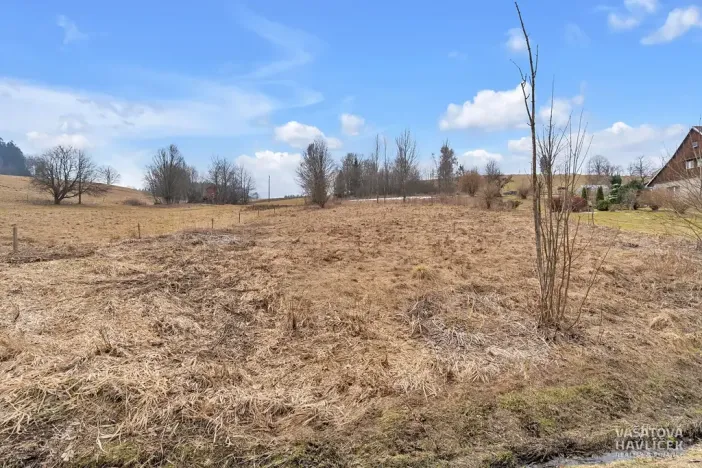 Prodej komerčního pozemku, Bartošovice v Orlických horách, 7647 m2