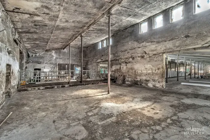 Prodej komerčního pozemku, Jasenná, 22131 m2