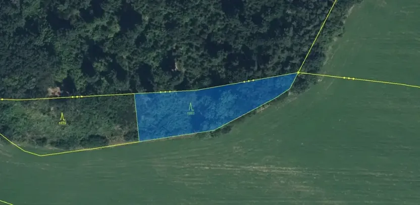 Prodej louky, Zdobín, 145881 m2