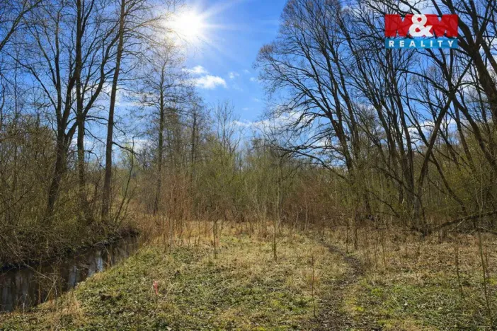 Prodej lesa, Snědovice - Střížovice, 2037 m2